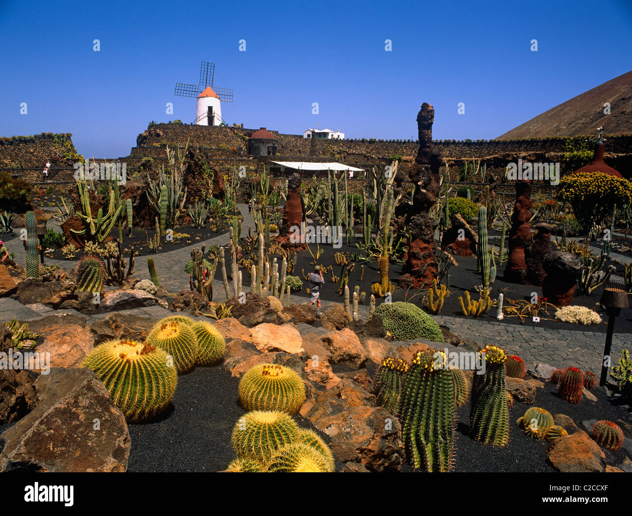 El Jardin Del Cactus was designed by Cesar Manrique and displays over 1000 species of cactus. Stock Photo
