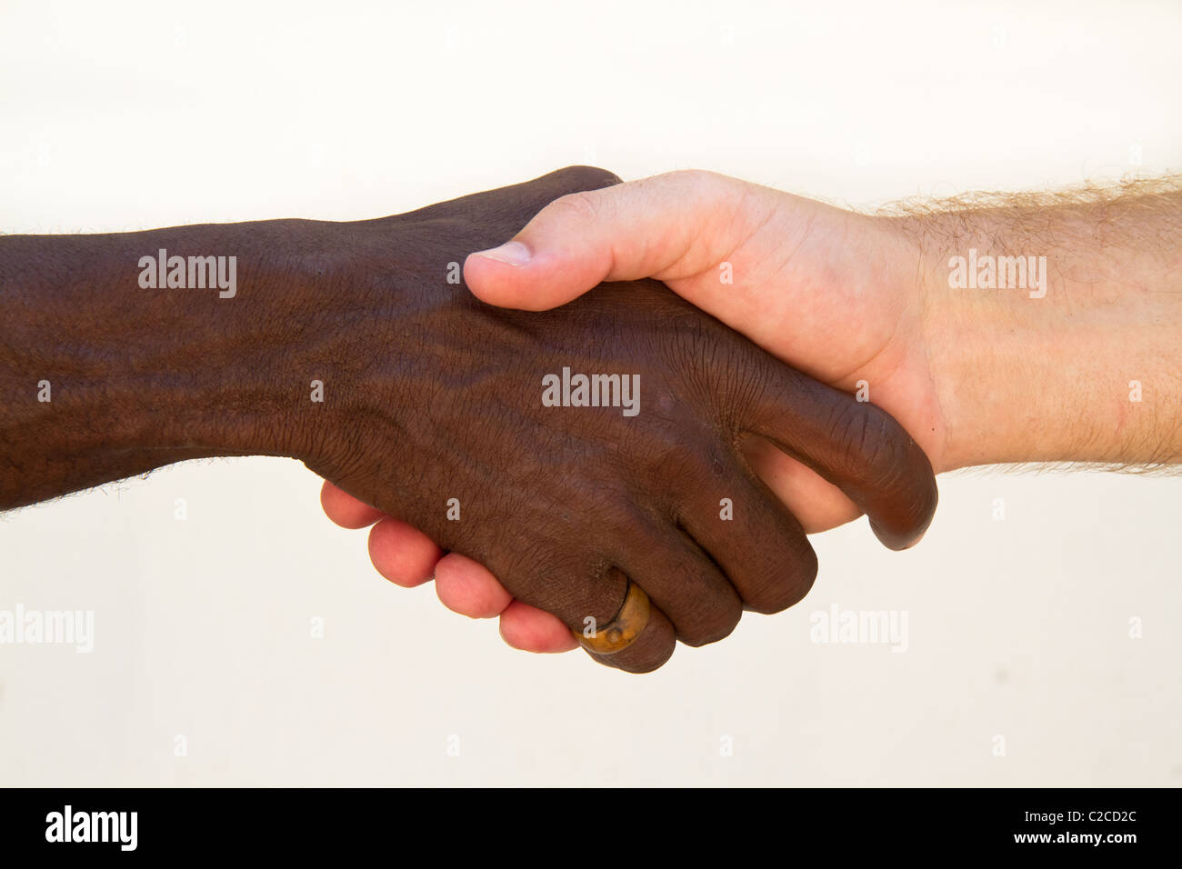 A Black and white hand come together in a hand shake. Stock Photo