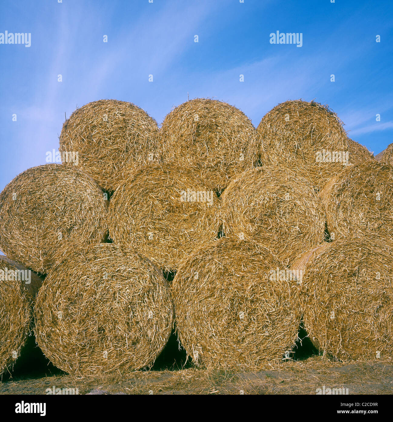 Straw Bales Lincolnshire England Stock Photo Alamy