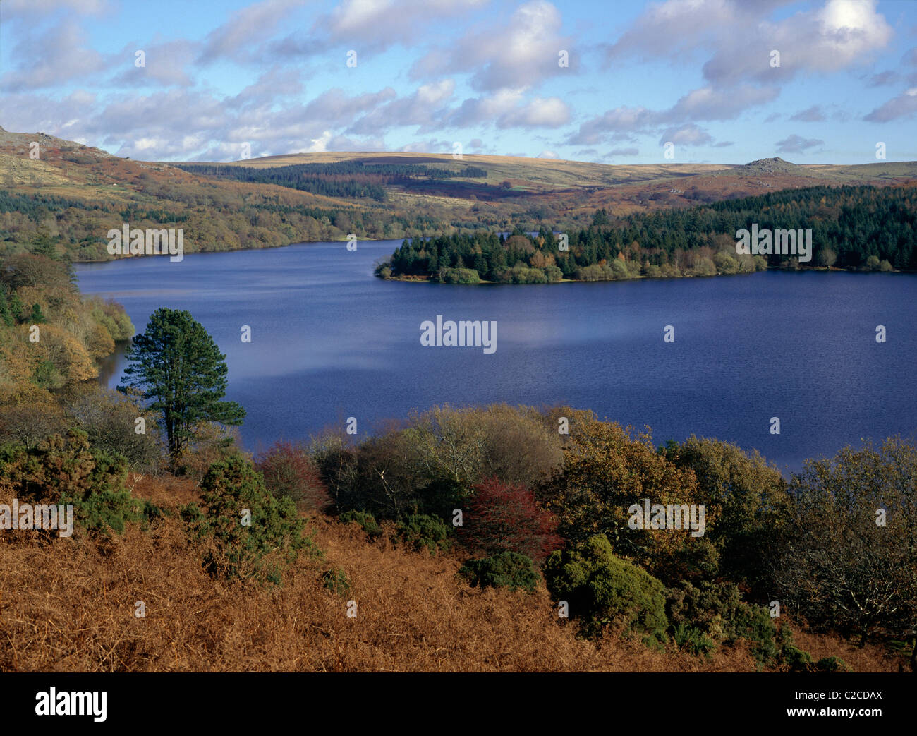 Dartmoor Devon England Stock Photo Alamy