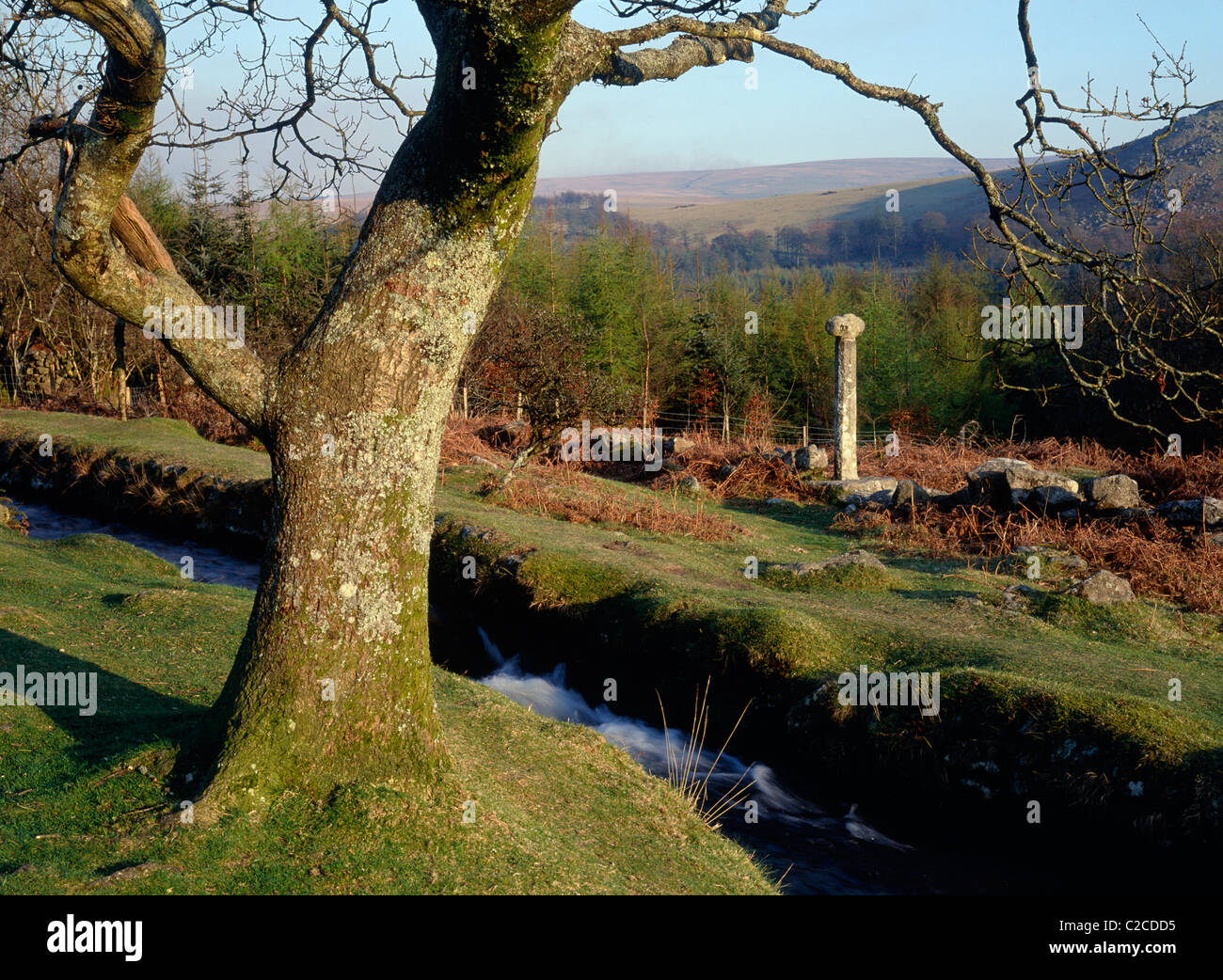 Dartmoor Devon England Stock Photo
