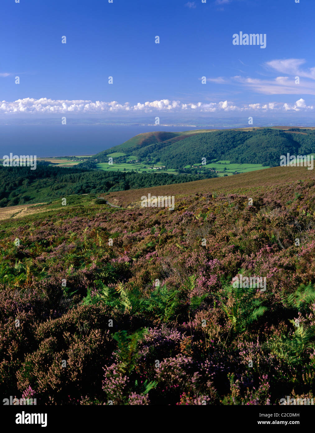 Exmoor Somerset England Stock Photo Alamy