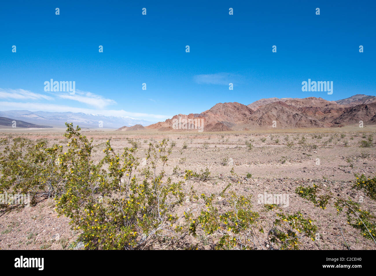 Death valley park hi-res stock photography and images - Alamy