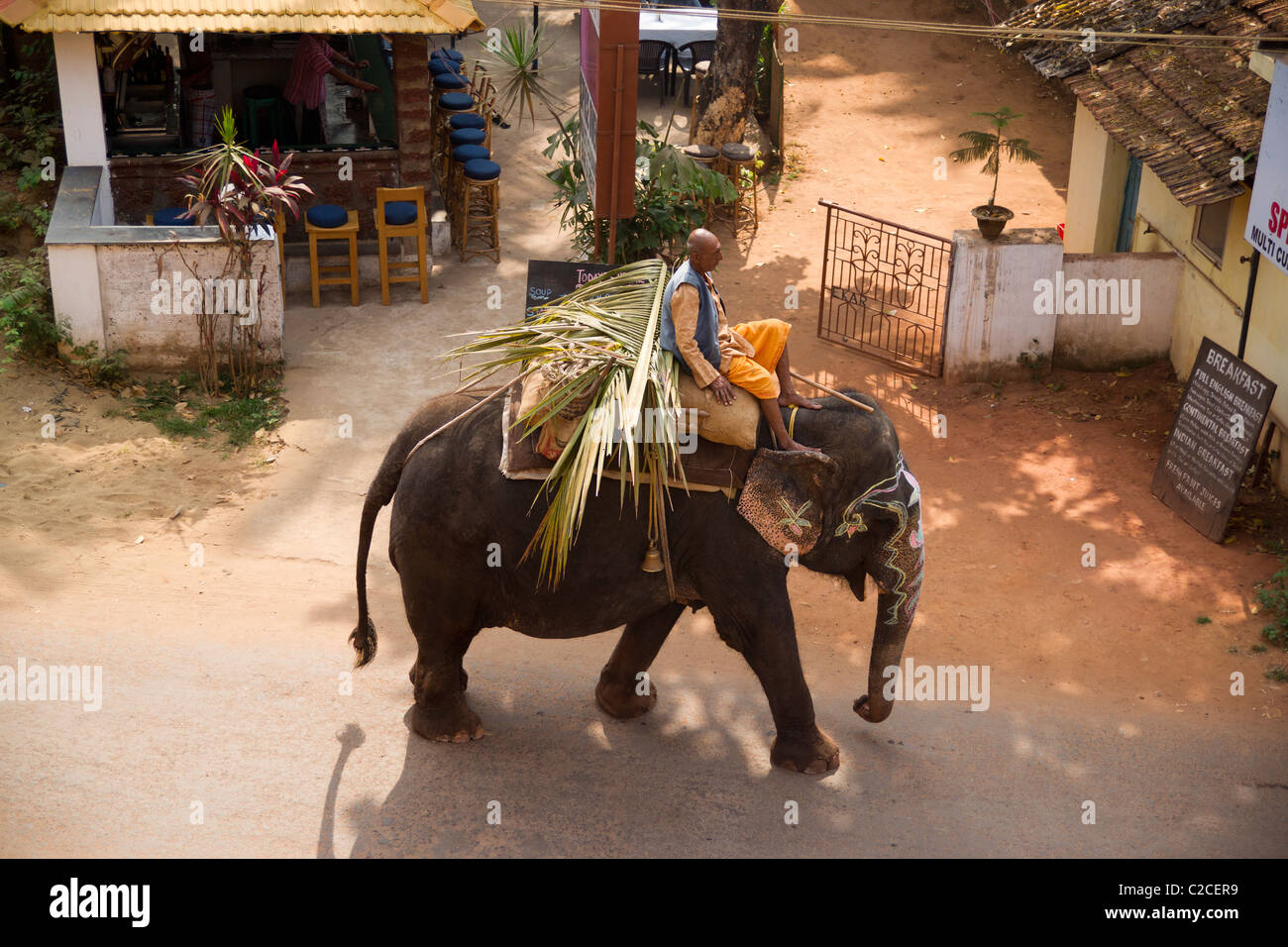 A working elephant in Arpora, Goa India. Stock Photo