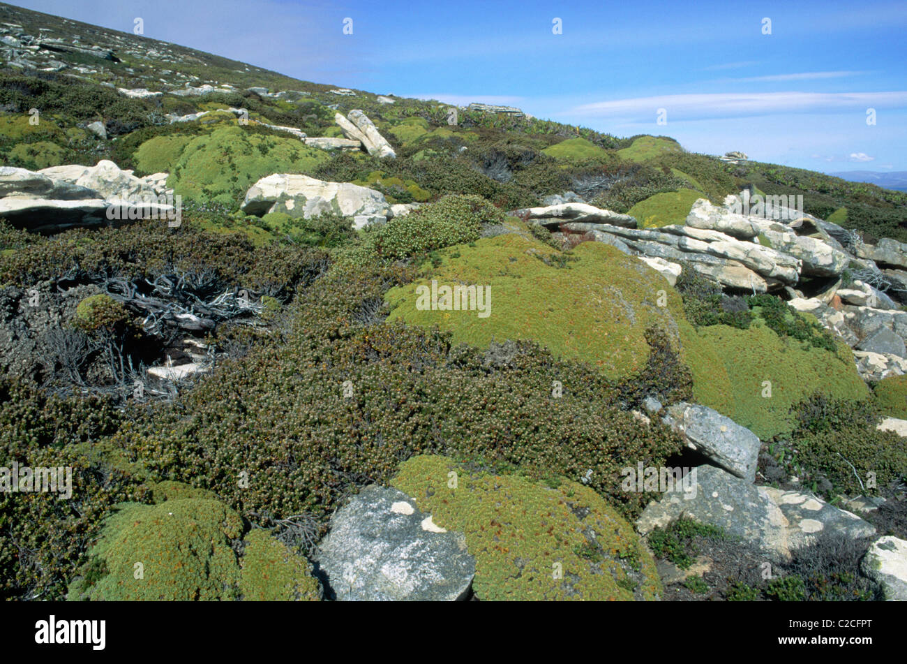 Saunders Island Falkland Islands Stock Photo Alamy