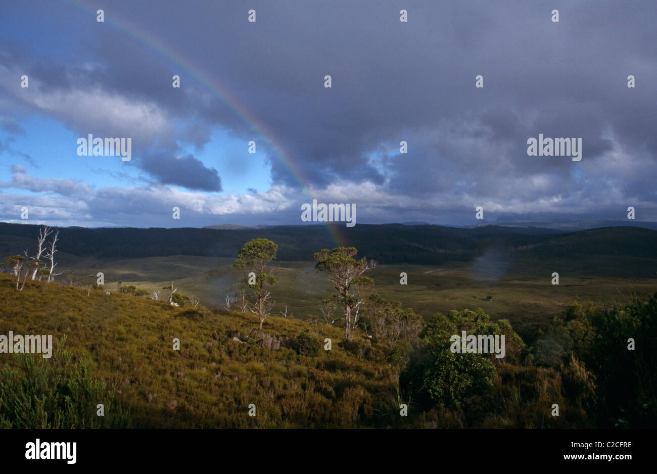 Plain Of Belvoir Tasmania Australia Stock Photo