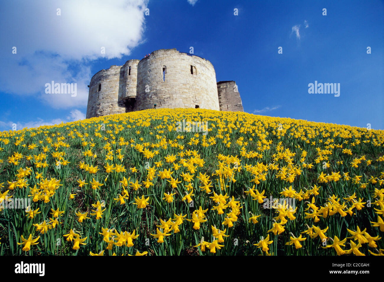 meadowarchitecture-hi-res-stock-photography-and-images-alamy