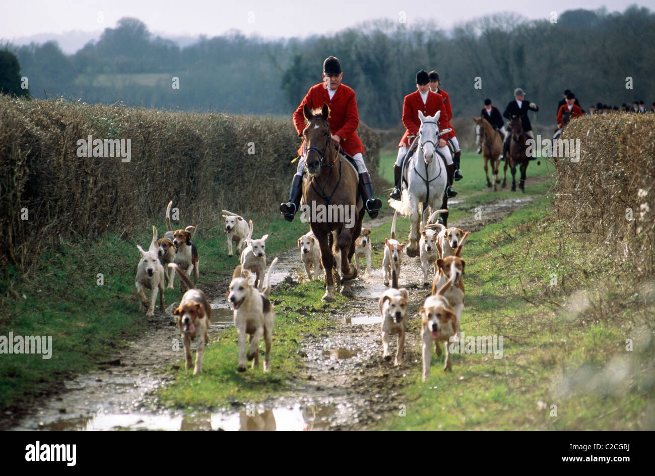 Drag Hunting Hampshire England Stock Photo Alamy
