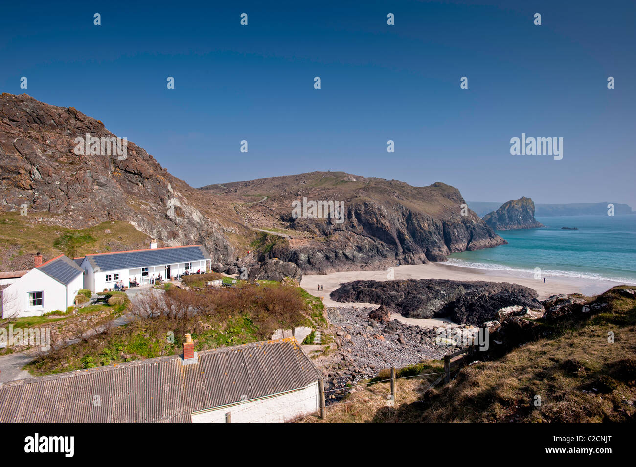 Coast near Kynance Cove, Cornwall, United Kingdom Stock Photo Alamy