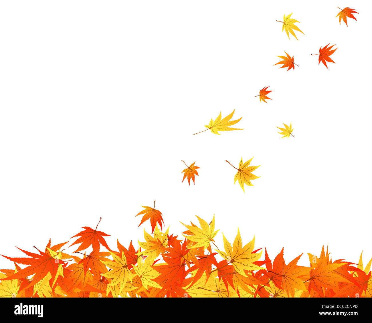 Pattern of autumn maples leaves. Vector illustration Stock Photo - Alamy