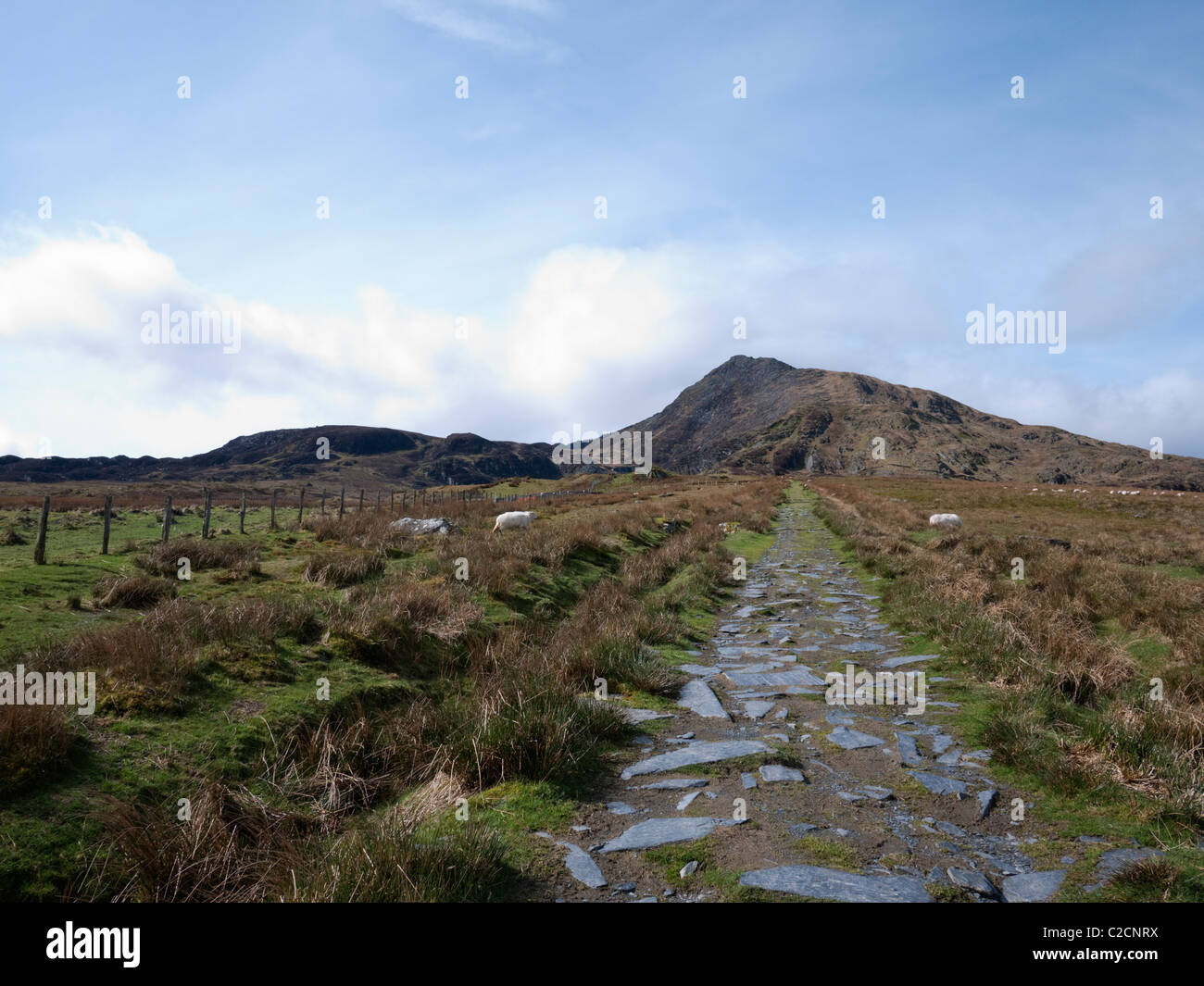 The mountain of Moel Siabod rises above moorland. Snowdonia National Park Stock Photo