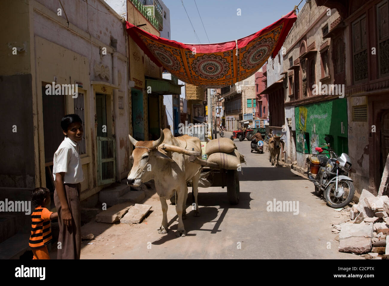 Phalodi hi-res stock photography and images - Alamy