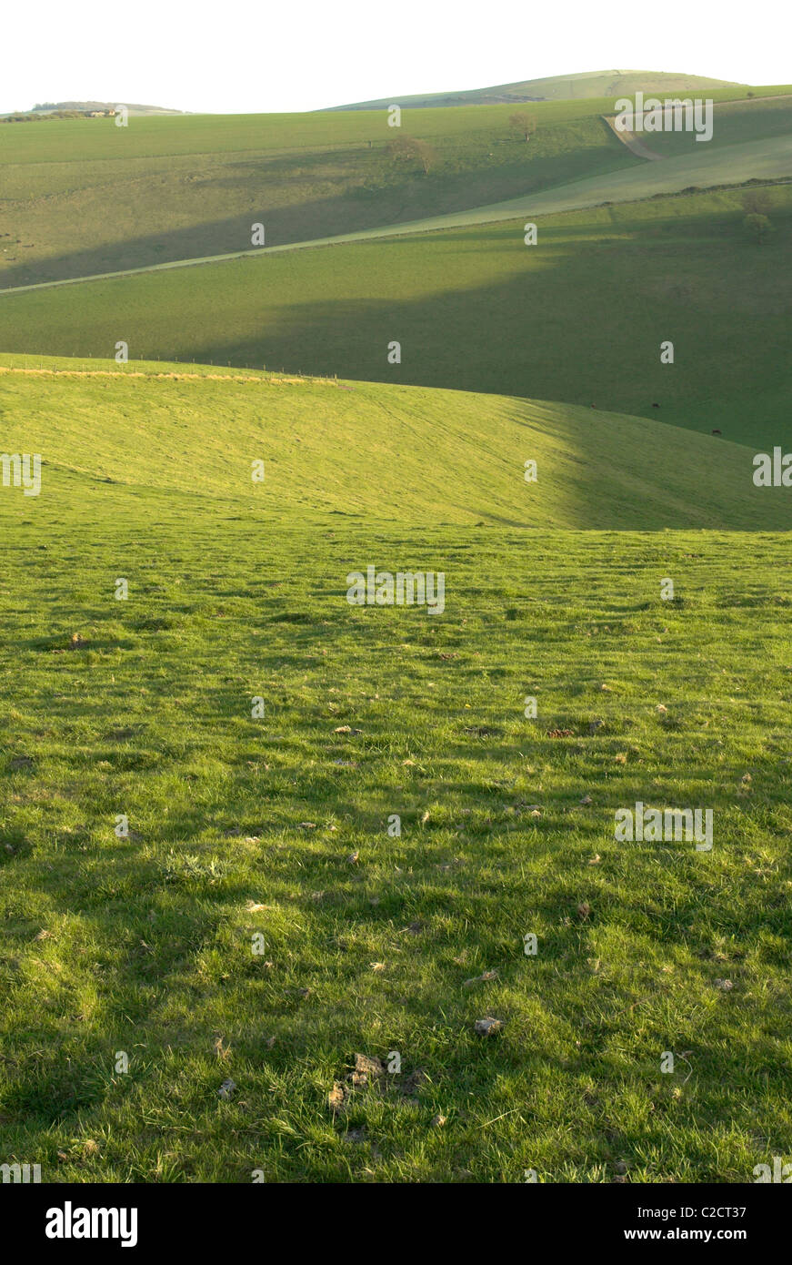 Rolling hills and valleys at Steyning Bowl in the South Downs National Park, West Sussex. Stock Photo