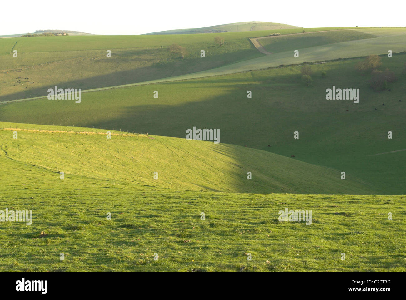 Rolling hills and valleys at Steyning Bowl in the South Downs National Park, West Sussex. Stock Photo