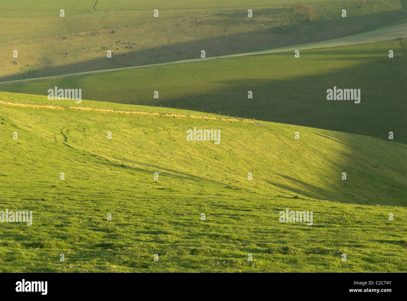 Rolling hills and valleys at Steyning Bowl in the South Downs National Park, West Sussex. Stock Photo
