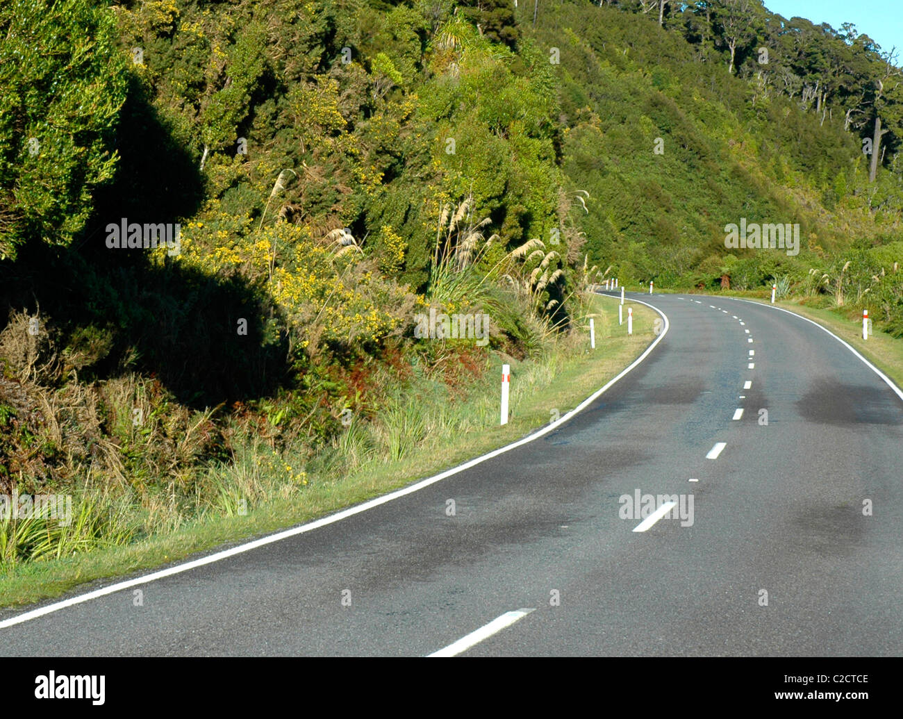 Westland Tai Pountini National Park, West Coast, New Zealand Stock Photo