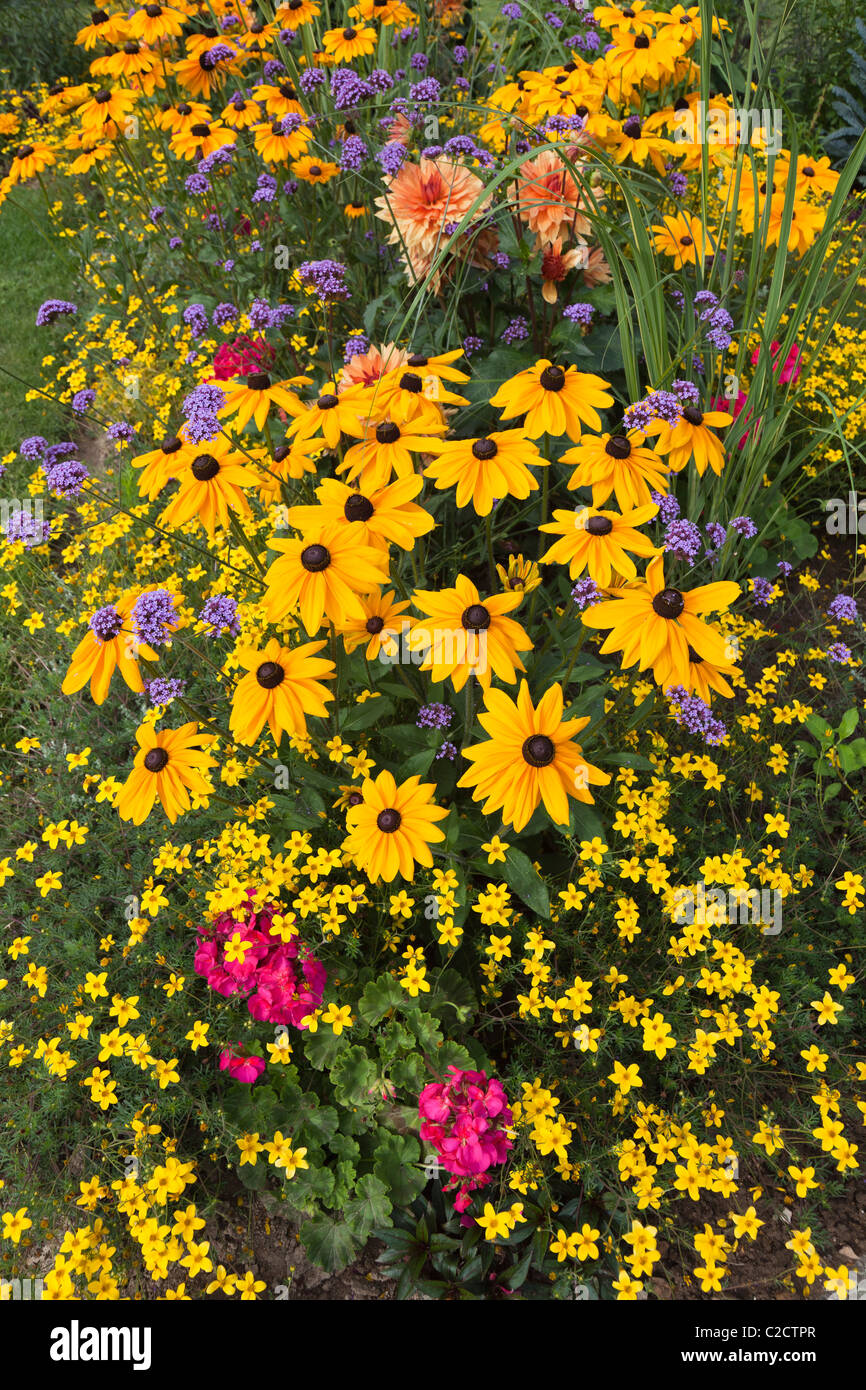 Mixed Border Flowers In Garden Hi-res Stock Photography And Images - Alamy