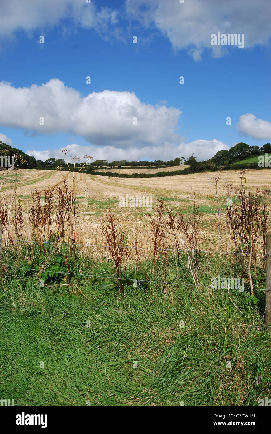 Rolling fields of England Stock Photo Alamy
