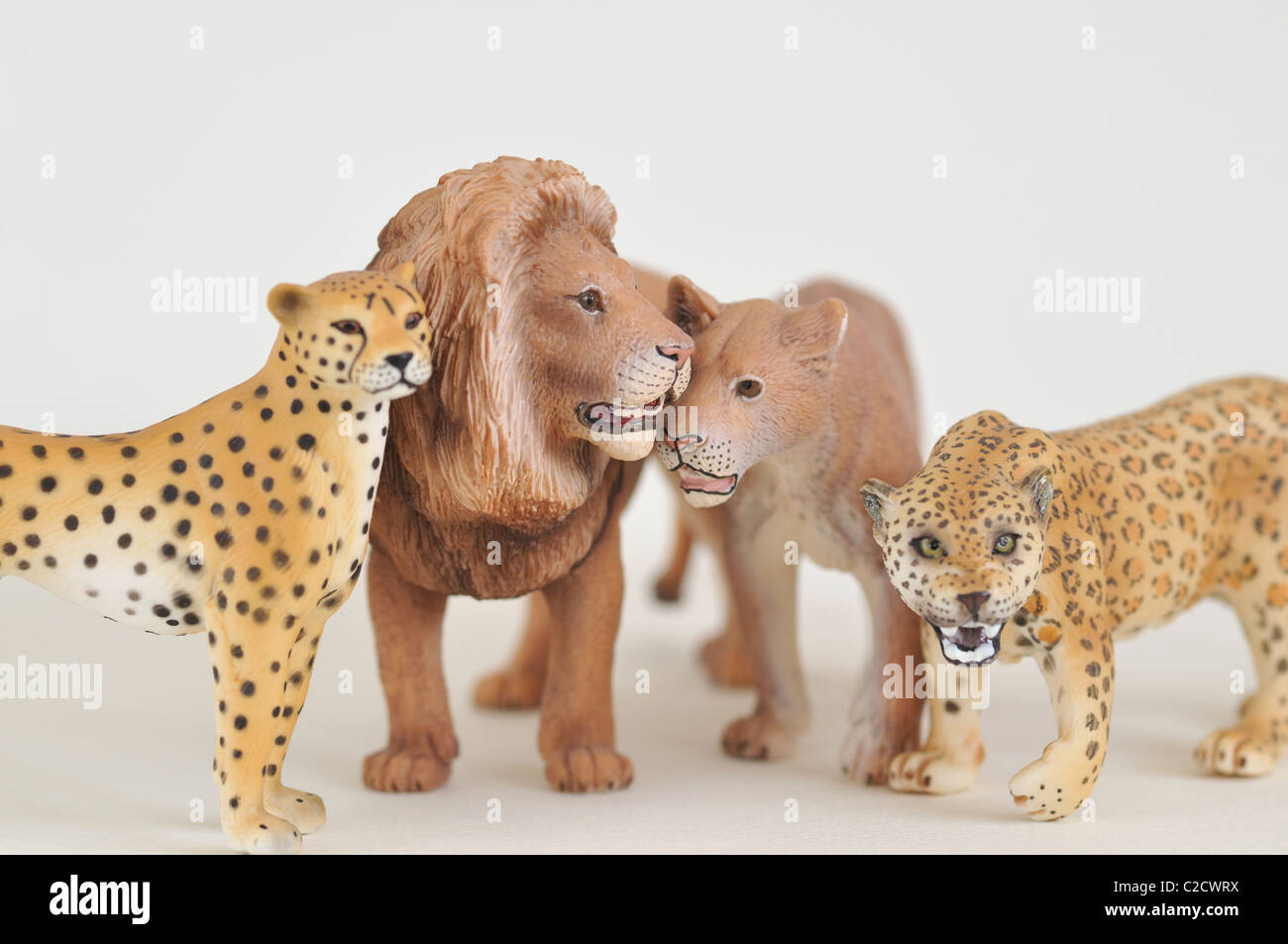 Wild cats toys plastic figurines (cheetah, leopard, lion, lioness Stock  Photo - Alamy