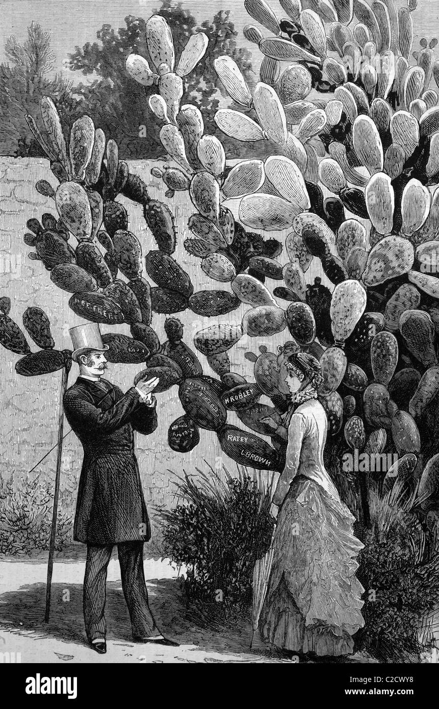 One way of leaving visiting cards at the Cape of Good Hope, South Africa, historic image, 1883 Stock Photo