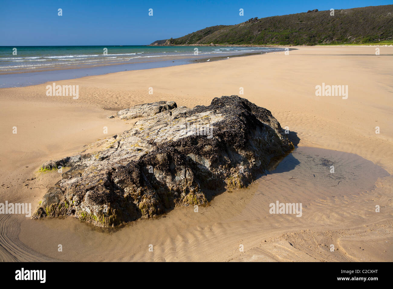 Bakers Beach in Narawntapu National Park Stock Photo Alamy