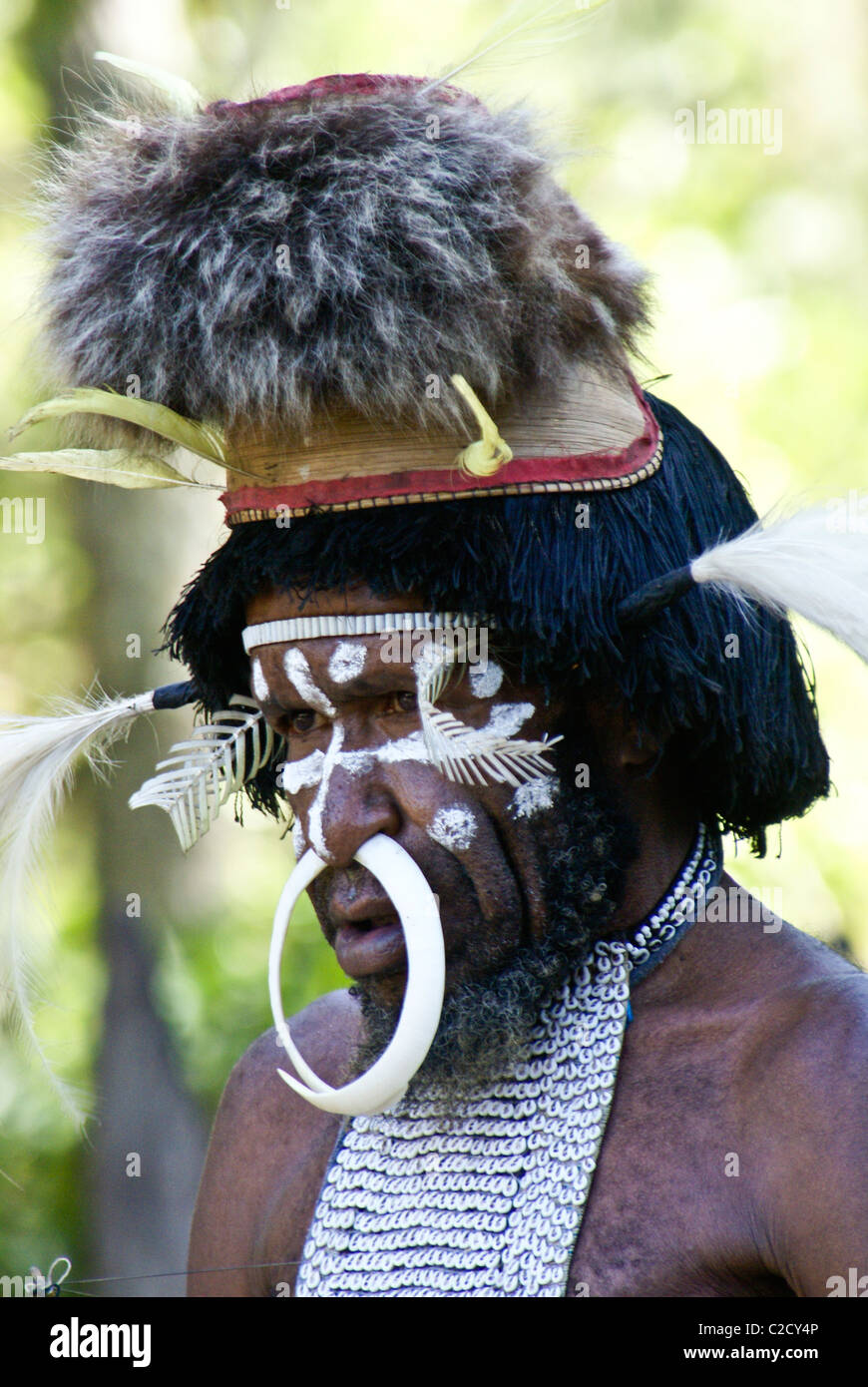 Dani tribesman, Baliem Valley, Papua, Indonesia Stock Photo