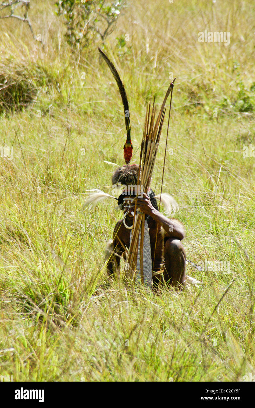 Dani tribesman, Baliem Valley, Papua, Indonesia Stock Photo