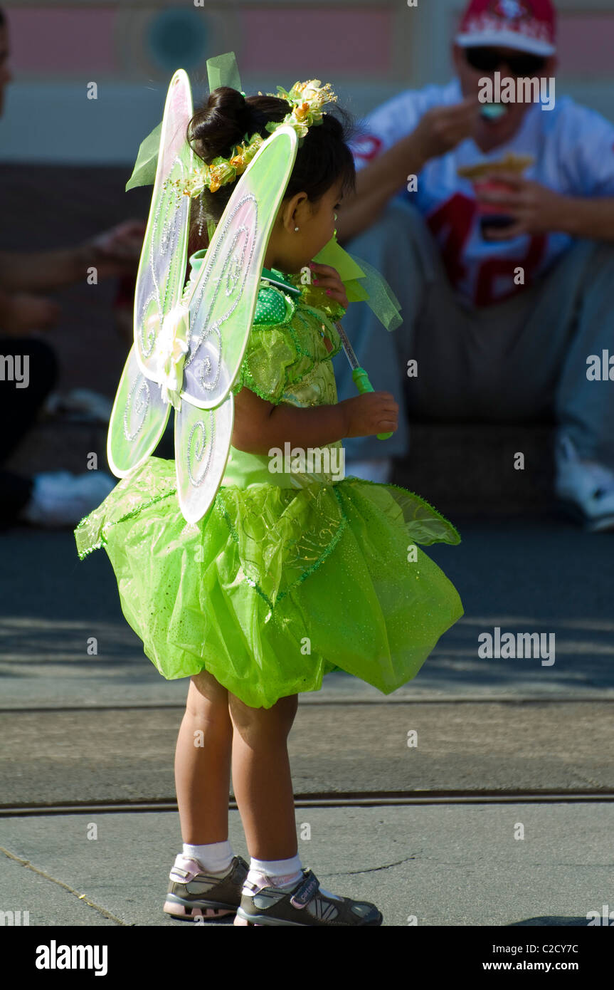 Little girl hot sale fairy princess costumes