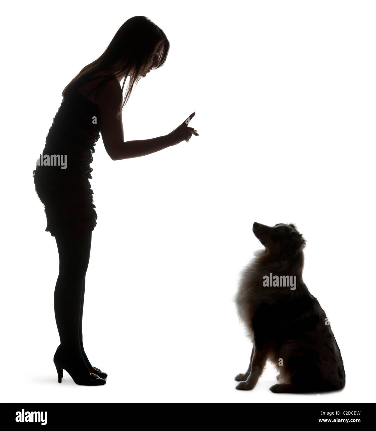 Young woman training Australian Shepherd dog in front of white background Stock Photo