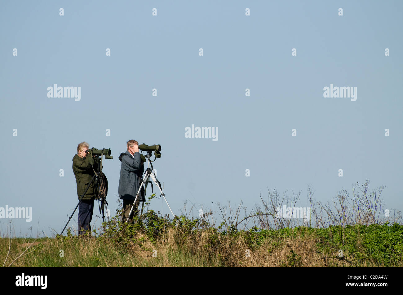 birdwatchers at cley, north norfolk, england Stock Photo