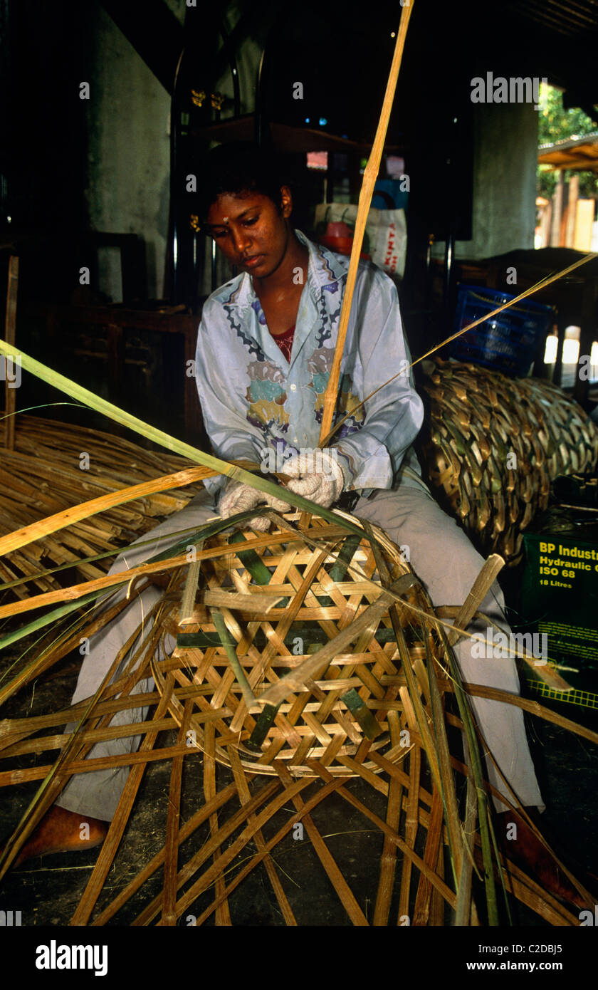 Basket Making Malaysia Stock Photo Alamy