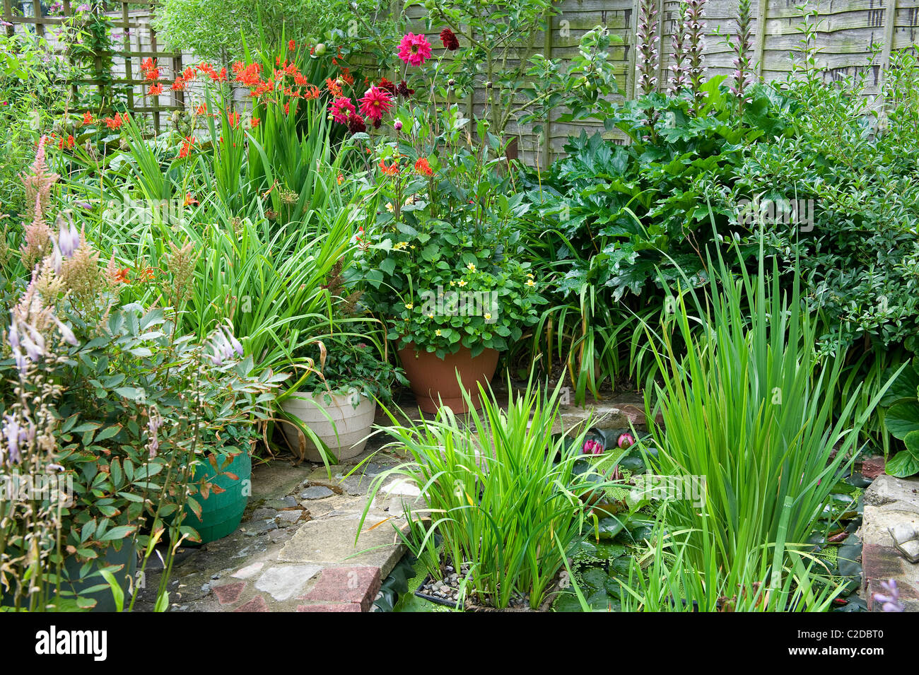 urban garden with pond and pot plants, norfolk, england Stock Photo