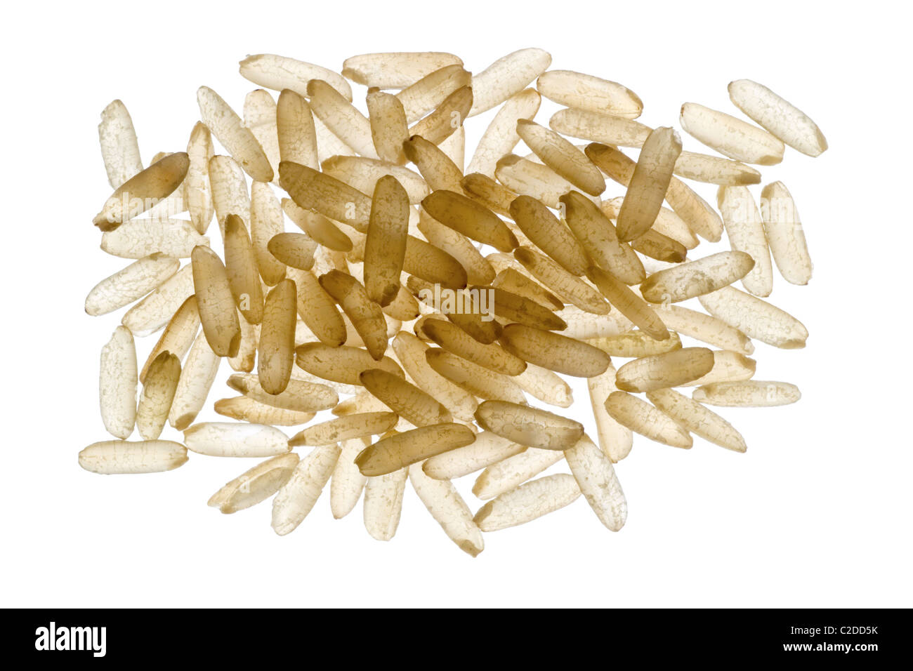 Back lit image Cut Out Stock Images & Pictures - Alamy