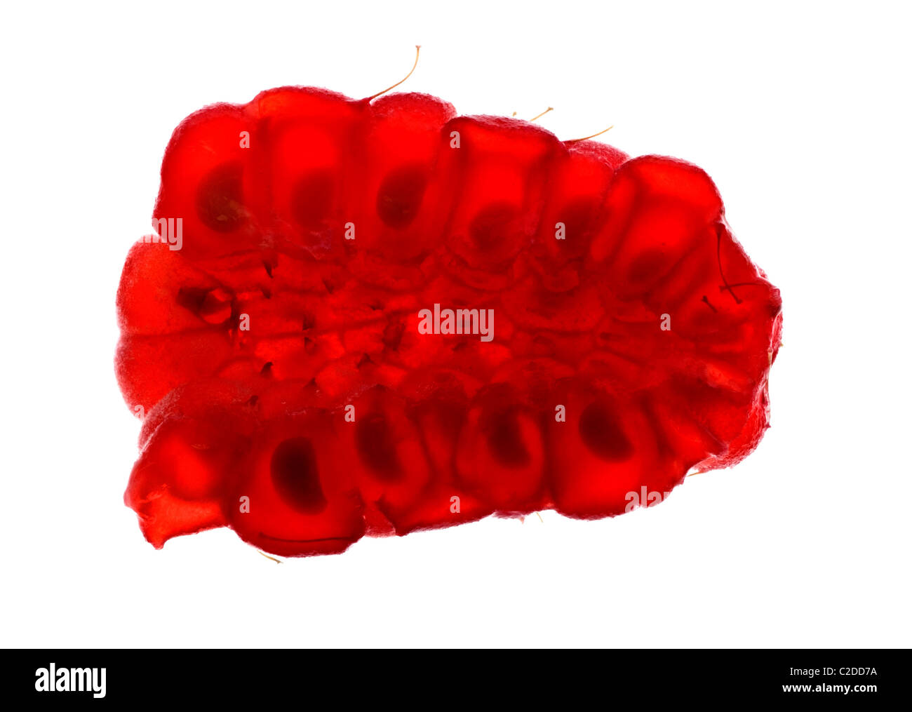 Backlit image of a slice of raspberry Stock Photo