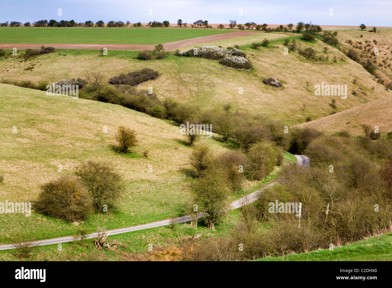 Millington Pasture Yorkshire Wolds East Riding of Yorkshire England