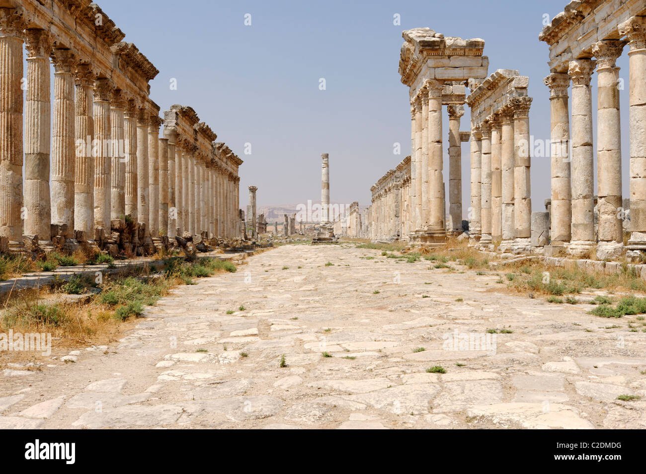 Apamea. Syria. The grand colonnaded avenue or cardo maximus which is lined with tall columns with majestic Corinthian capitals. Stock Photo
