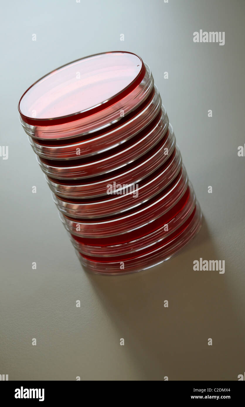 Petri dishes stacked up Stock Photo