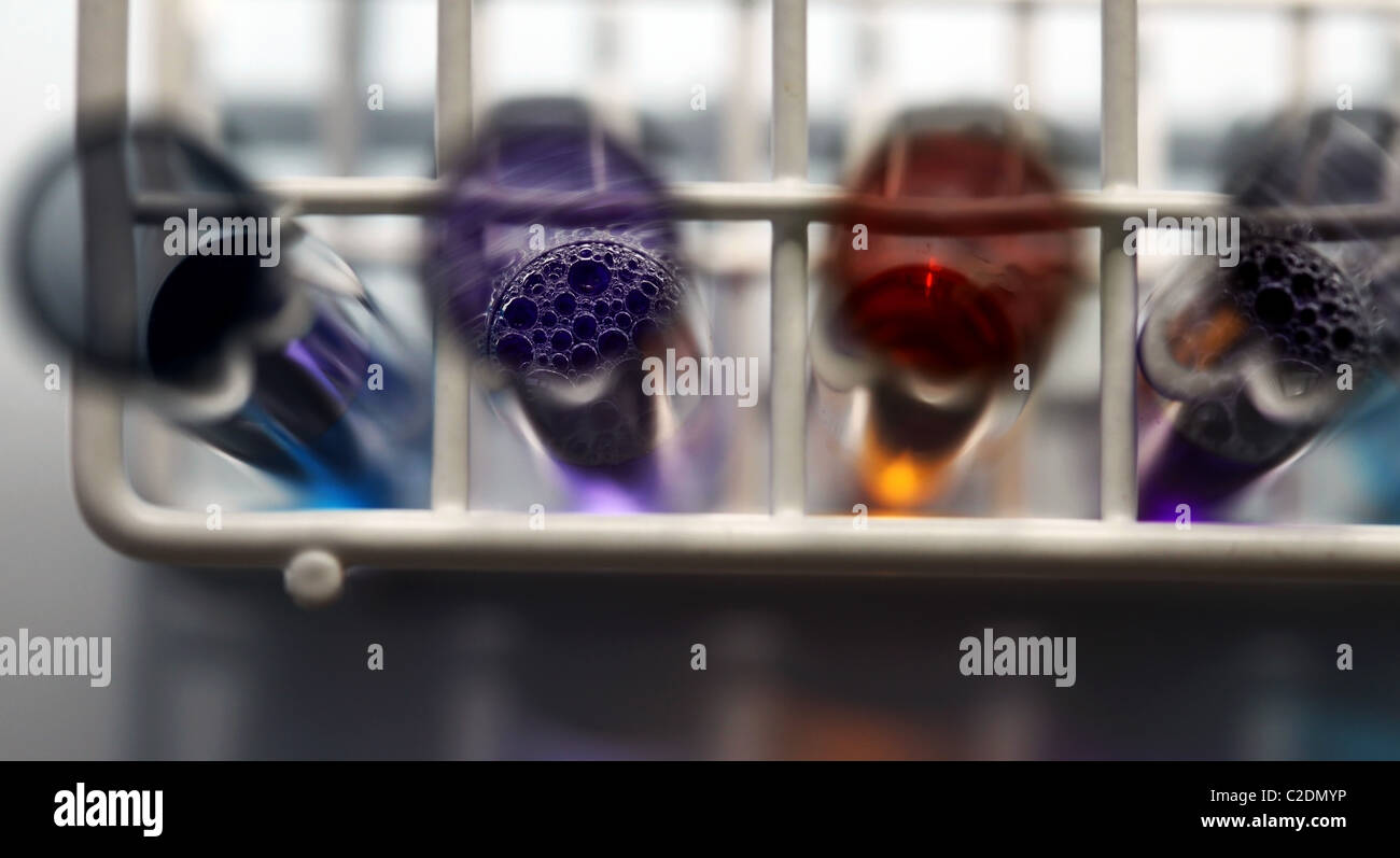 Laboratory test tubes in a rack containing various colours of liquid, some of which are bubbling. Stock Photo