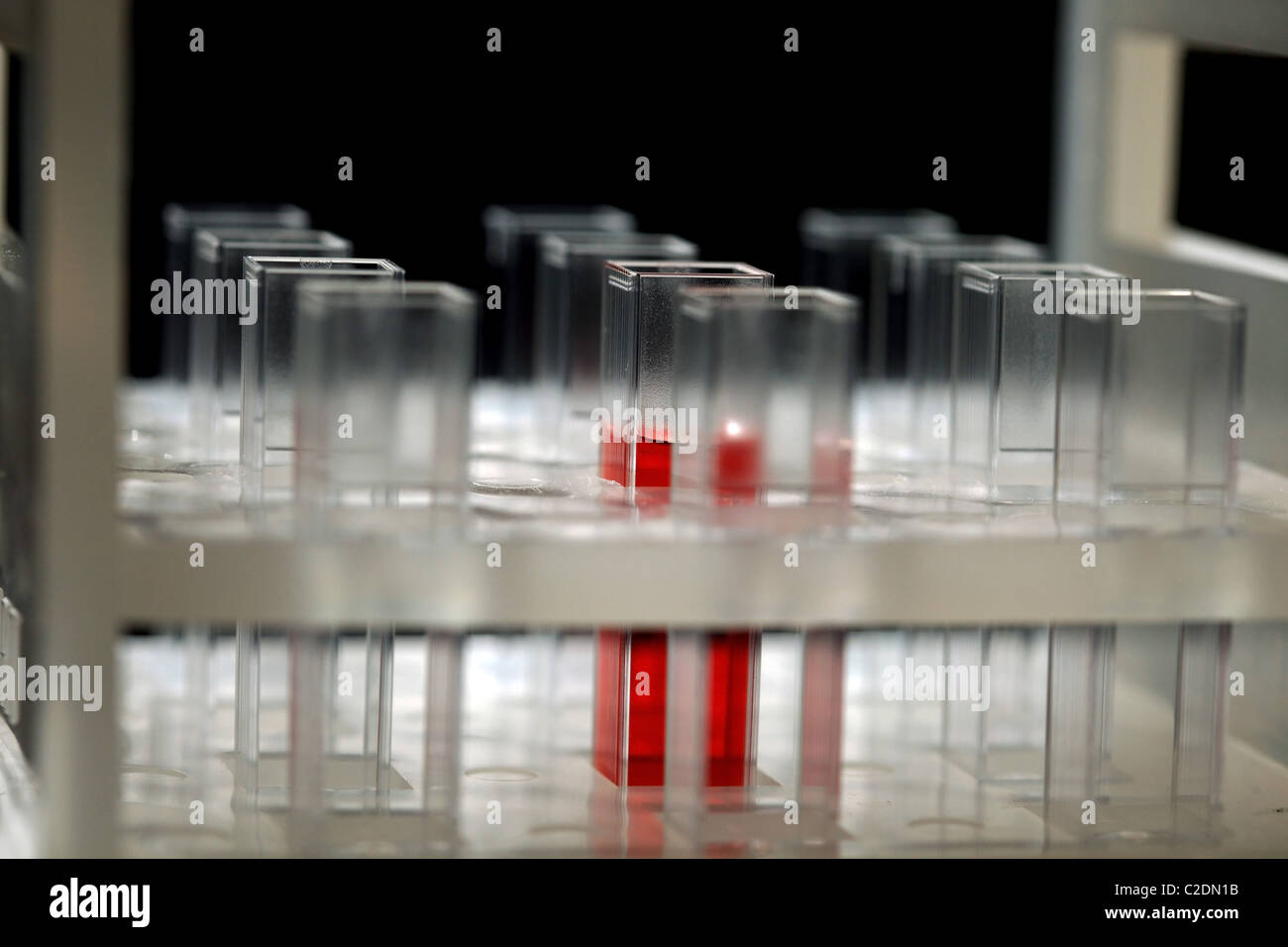 Science chemistry nine cuvettes hires stock photography and images Alamy