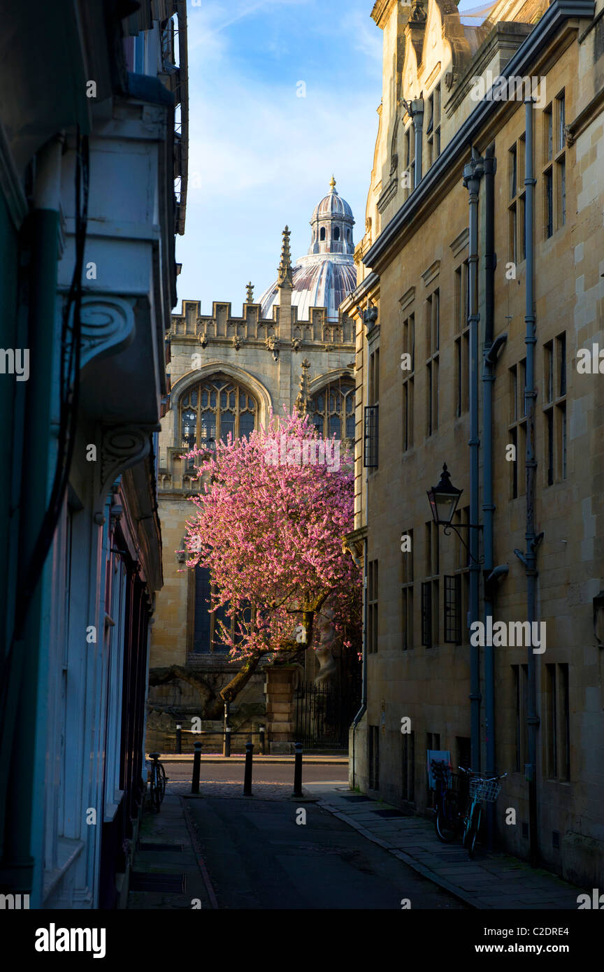 Oxford in the spring and a glimpse of blossom outside the University Church on the High St., Stock Photo