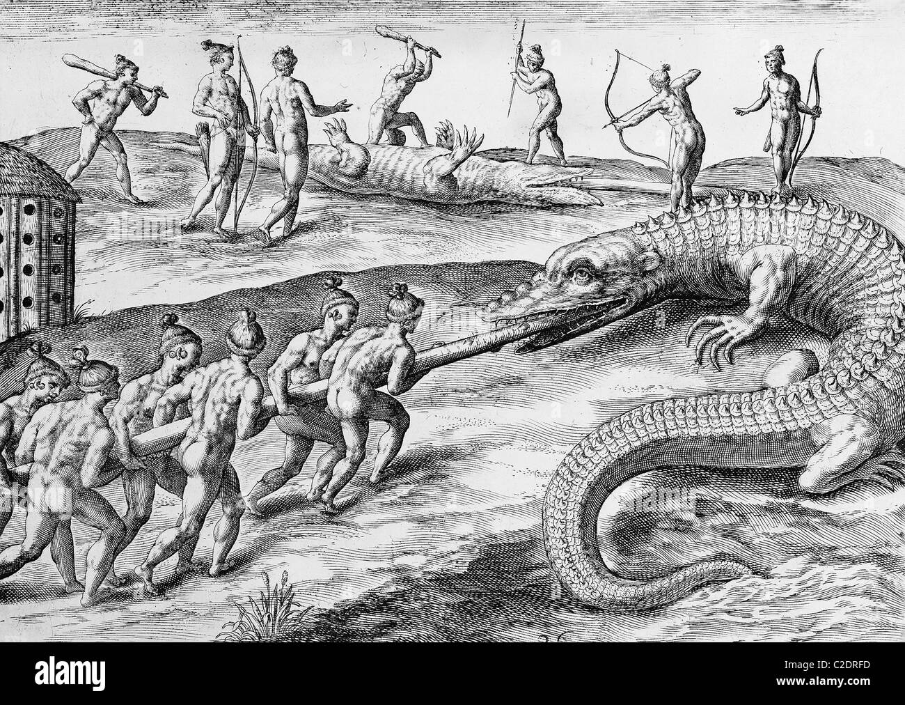 Timucua Indians killing alligators Stock Photo