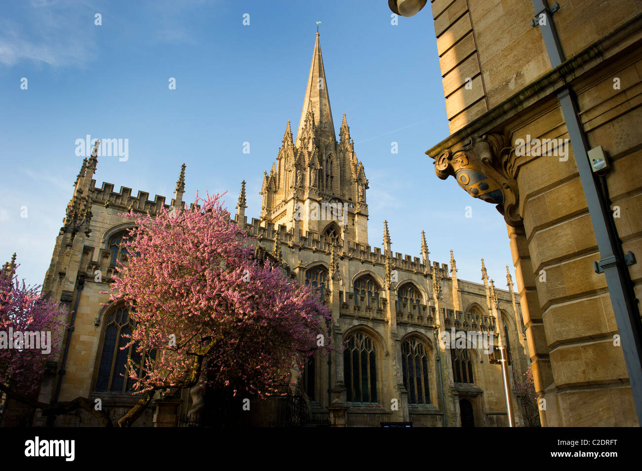 Oxford in the spring,and the University Church with blosoom in the High St., Stock Photo
