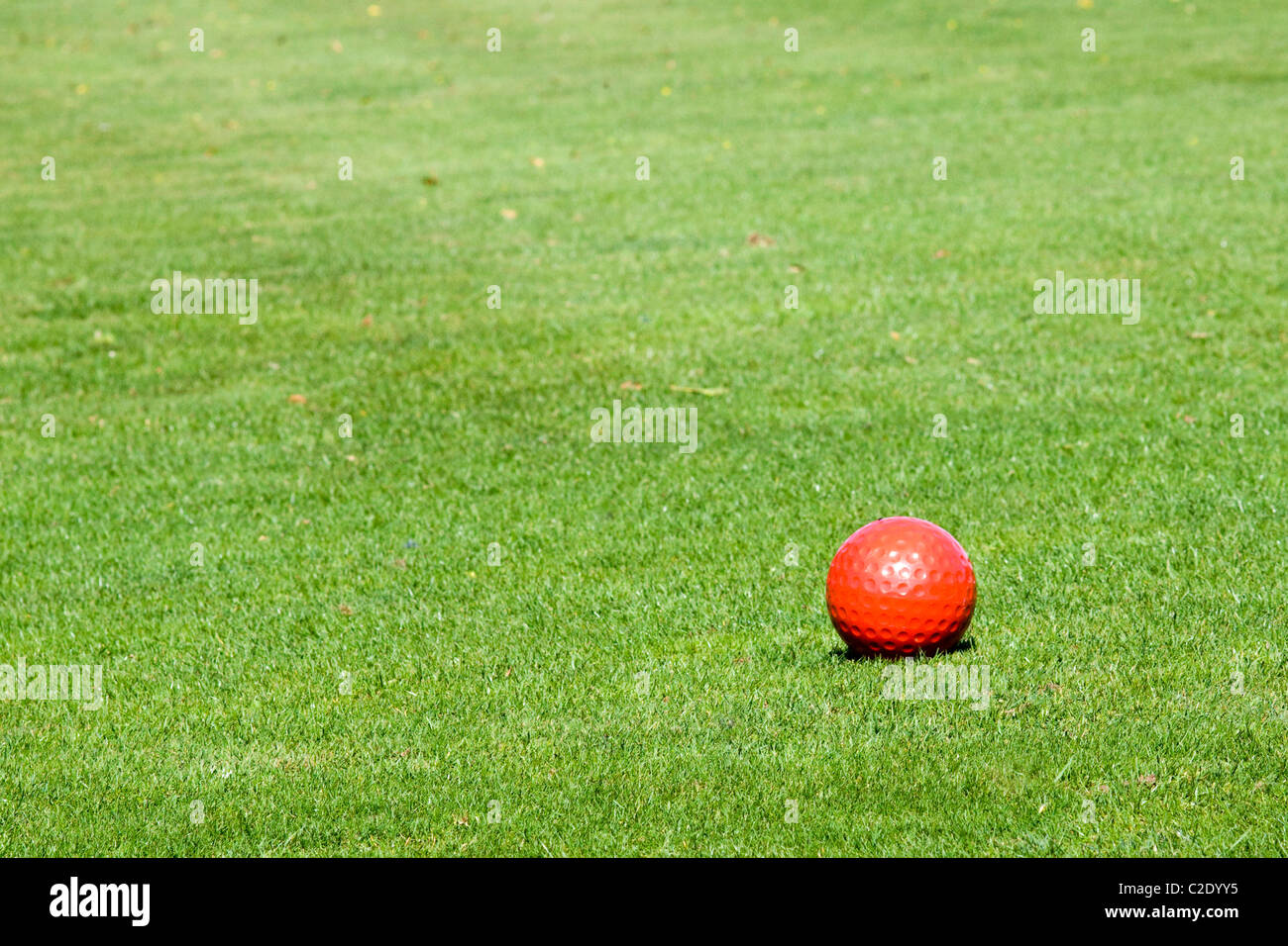 https://c8.alamy.com/comp/C2DYY5/giant-red-golf-ball-on-the-green-C2DYY5.jpg