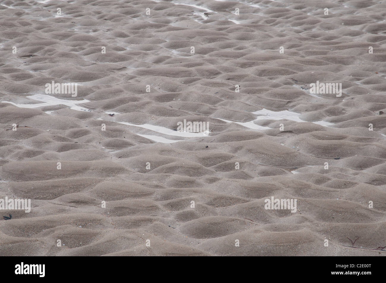 Plage De Sable En Gros Plan Close Up Of A Sand On A Beach