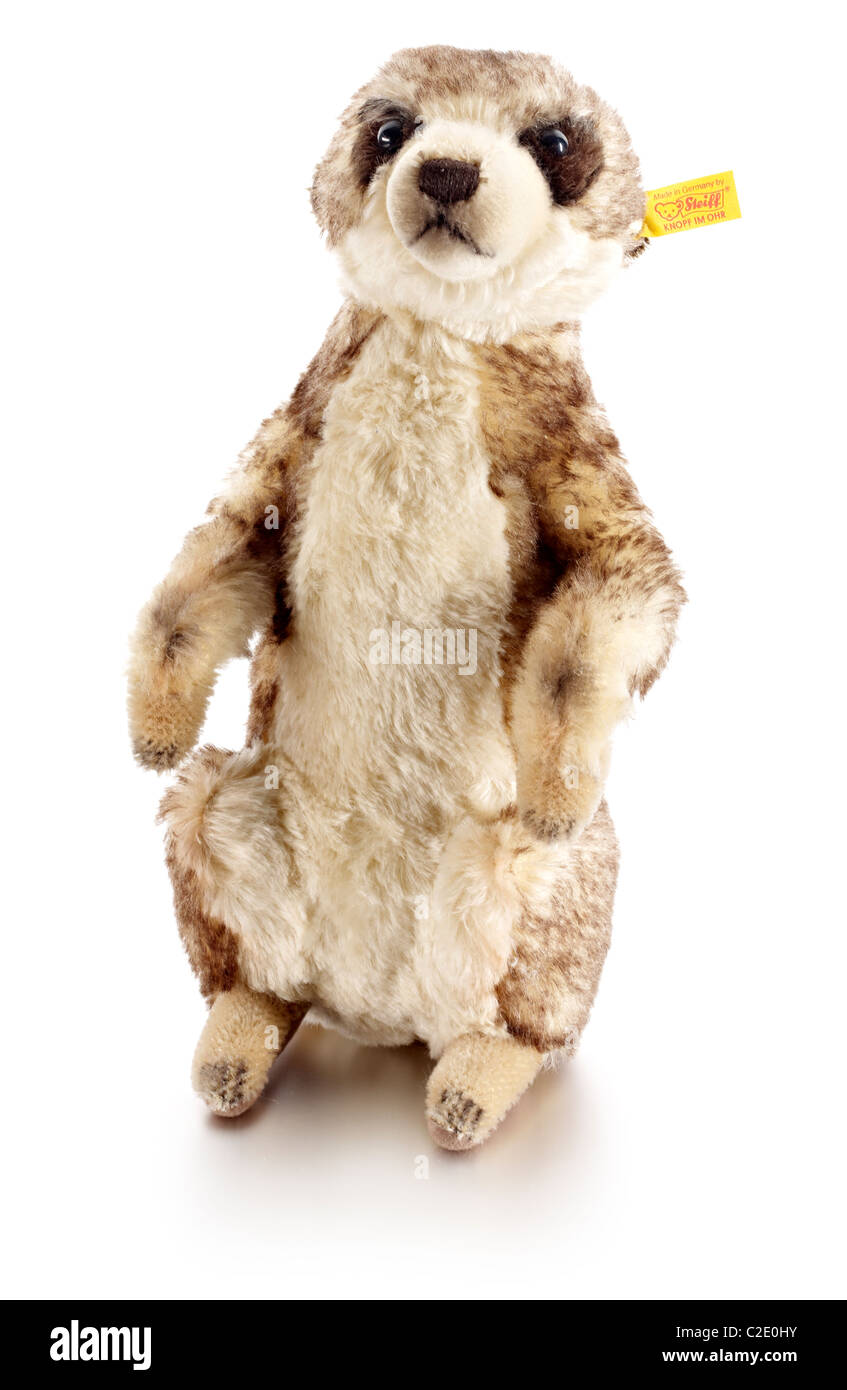 Meerkat soft toy Stock Photo