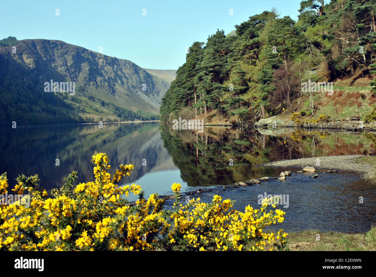 springtime view of the upper lake in glendalough county wicklow ireland Stock Photo