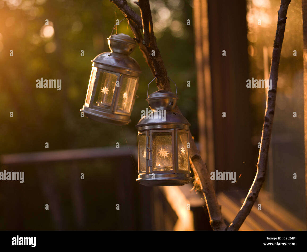 Lake Of The Woods, Ontario, Canada; Lanterns Hanging From Branch Stock Photo