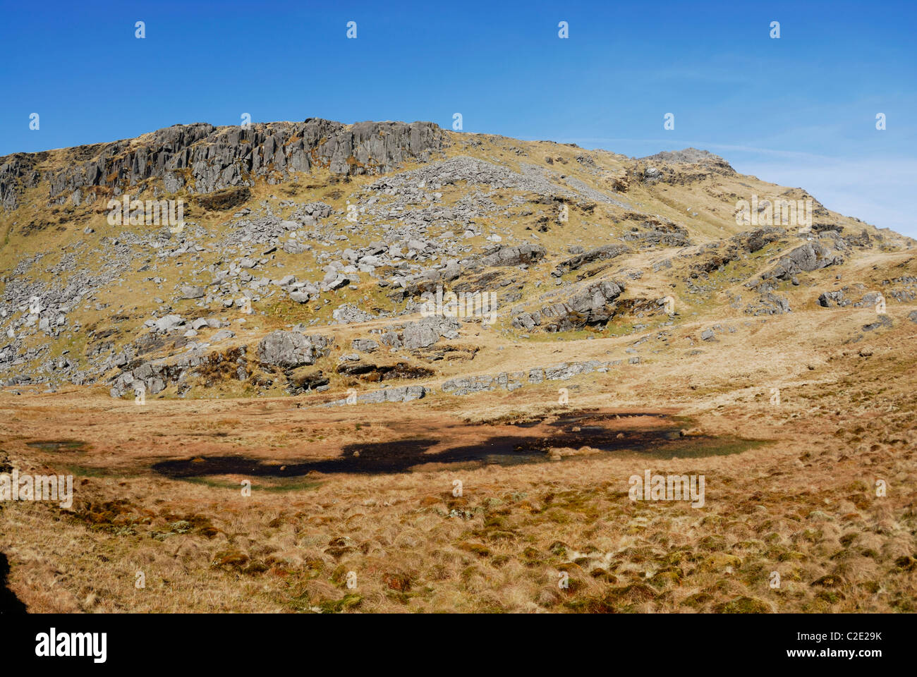 Small lake and peatbog on Moelwyn Bach in Snowdonia. Stock Photo
