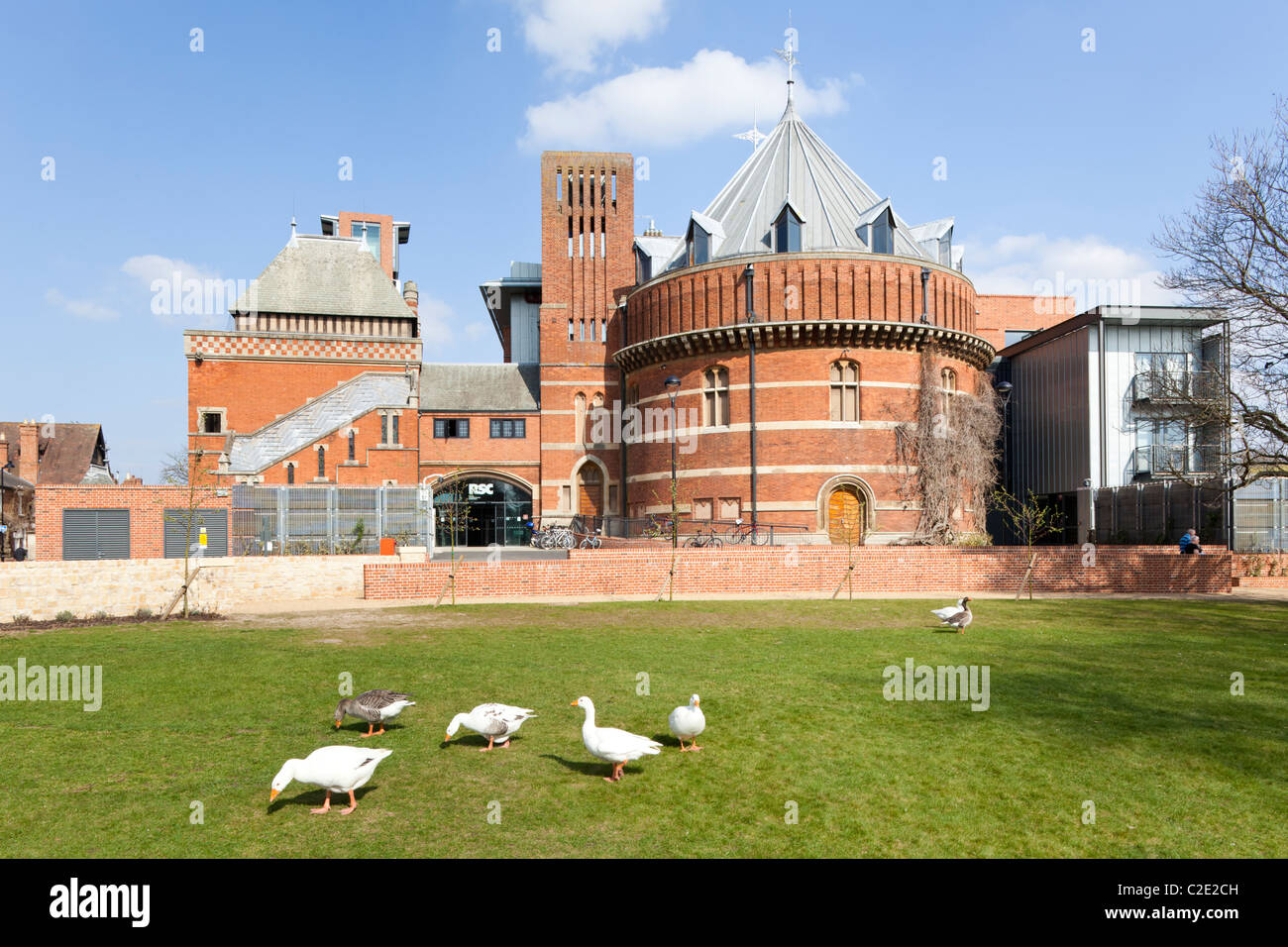 Geese in front of the Royal Shakespeare Company theatre at Stratford upon Avon, Warwickshire, England, UK Stock Photo