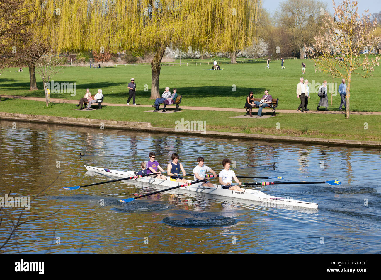 Stratford upon Avon Boat Club rowing fours practicing on the River Avon